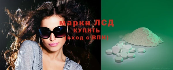 хмурый Гусь-Хрустальный