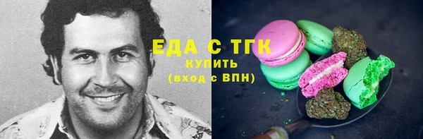 хмурый Гусь-Хрустальный