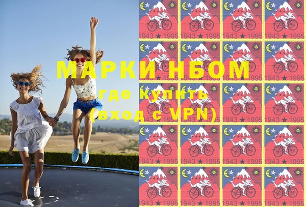 хмурый Гусь-Хрустальный