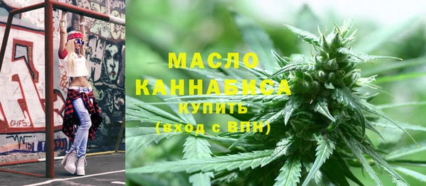 хмурый Гусь-Хрустальный