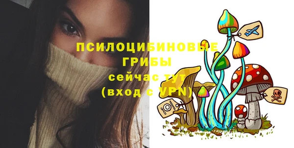 хмурый Гусь-Хрустальный