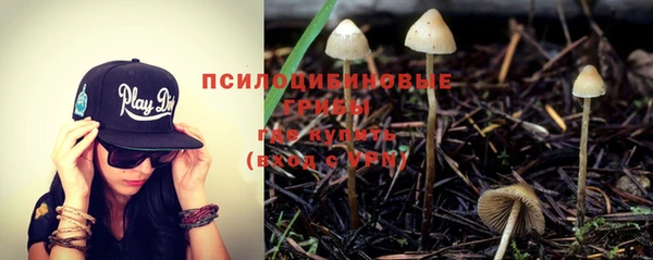 хмурый Гусь-Хрустальный