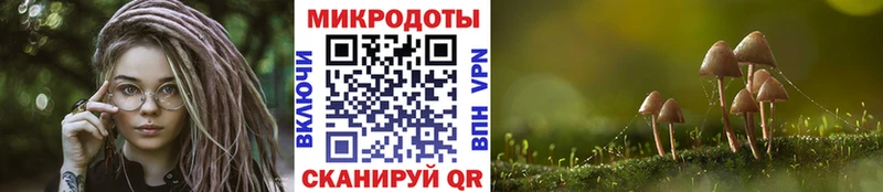 Купить закладки Коряжма Псилоцибиновые грибы Magic Shrooms